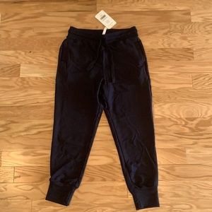 BRAND NEW Fabletics Daria Joggers.
